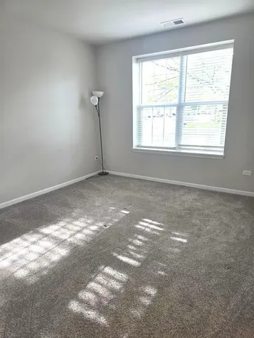 818 Woodland Drive Shorewood IL 60404