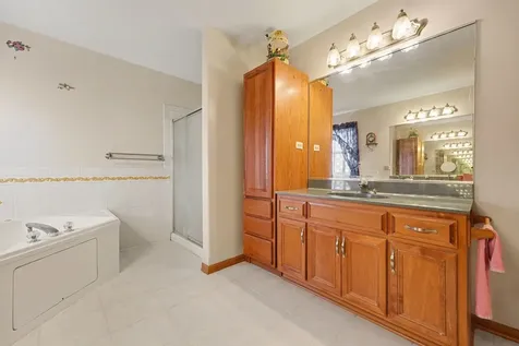 15488 Ridgefield Drive Manhattan IL 60442