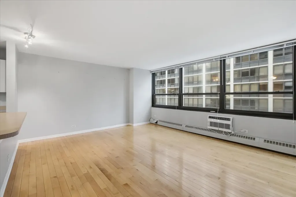 33 East Cedar Street Chicago IL 60611