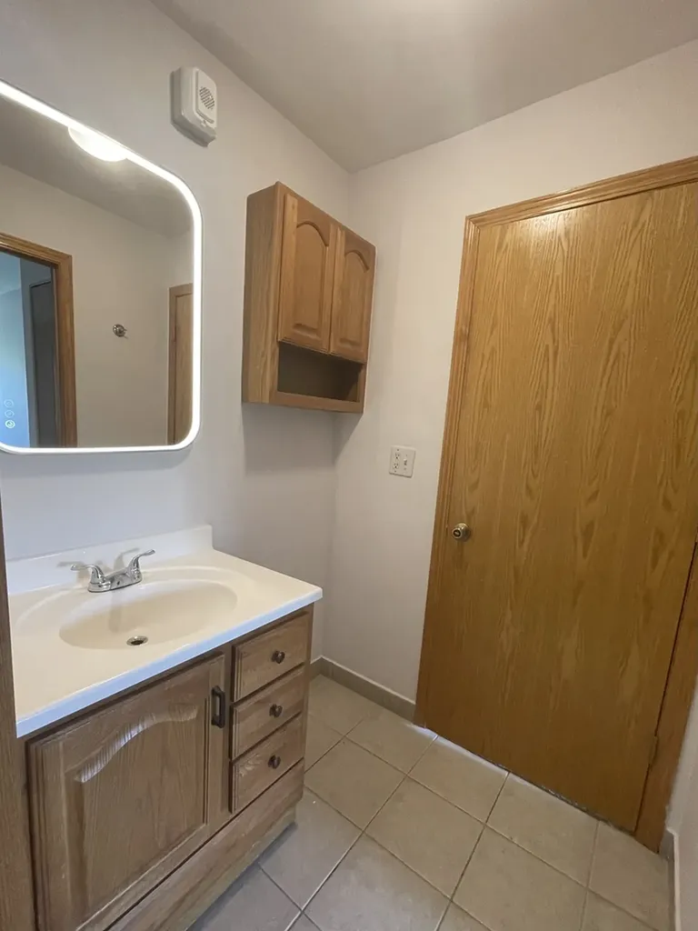1806 Hemlock Place Schaumburg IL 60173