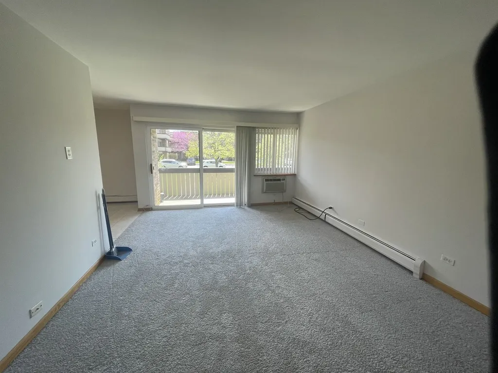 1806 Hemlock Place Schaumburg IL 60173