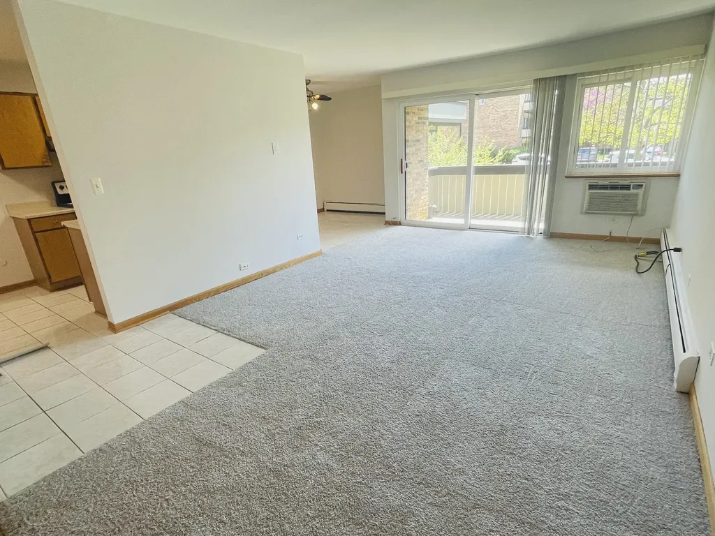 1806 Hemlock Place Schaumburg IL 60173
