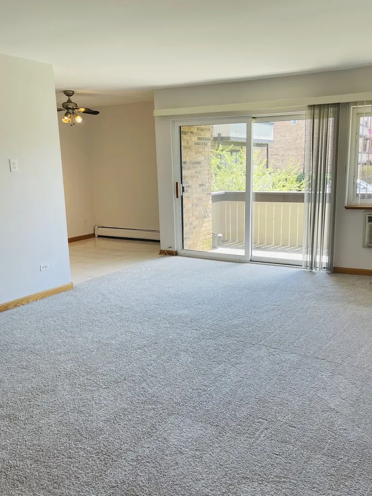 1806 Hemlock Place Schaumburg IL 60173