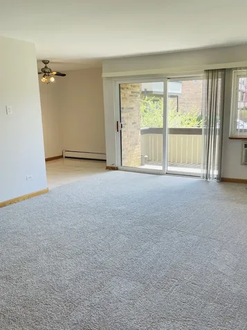 1806 Hemlock Place Schaumburg IL 60173