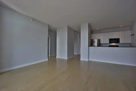 233 East 13th Street Chicago IL 60605