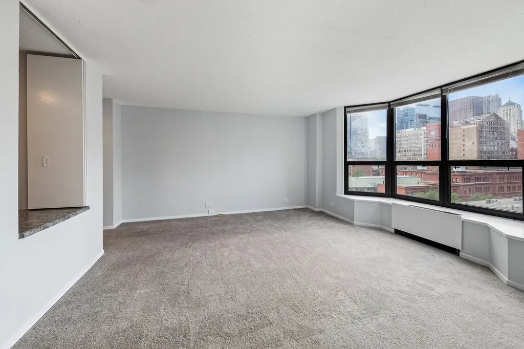 899 South Plymouth Court Chicago IL 60605