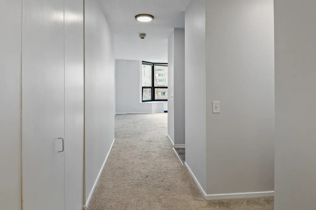 899 South Plymouth Court Chicago IL 60605