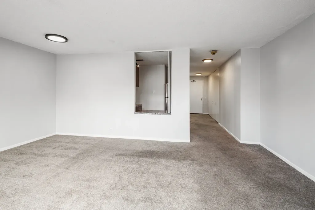 899 South Plymouth Court Chicago IL 60605