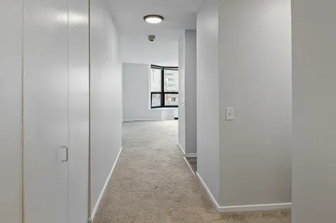 899 South Plymouth Court Chicago IL 60605