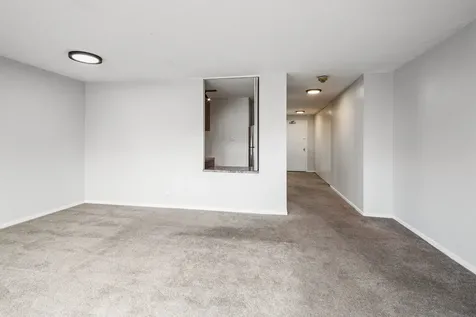 899 South Plymouth Court Chicago IL 60605