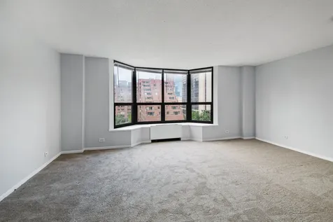 899 South Plymouth Court Chicago IL 60605