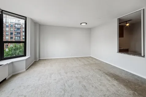 899 South Plymouth Court Chicago IL 60605