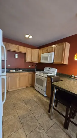 2411 West Balmoral Avenue Chicago IL 60625