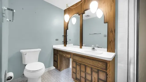 15058 Naughton Drive South Holland IL 60473