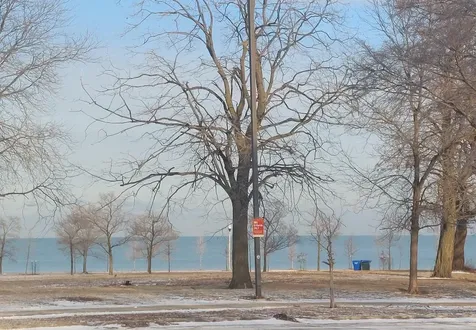 4625 South Michigan Avenue Chicago IL 60653