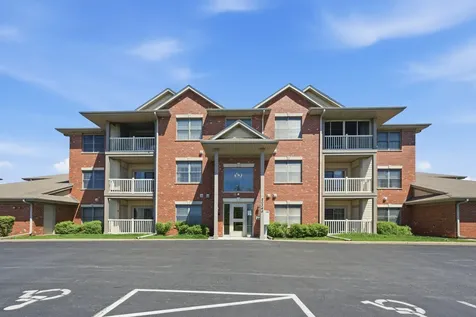 20345 South Rainford Drive Frankfort IL 60423