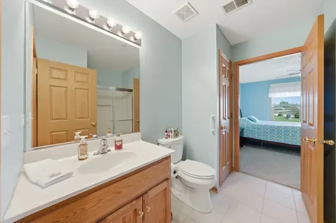 20345 South Rainford Drive Frankfort IL 60423