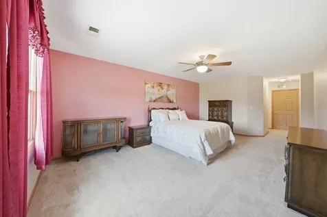 20345 South Rainford Drive Frankfort IL 60423
