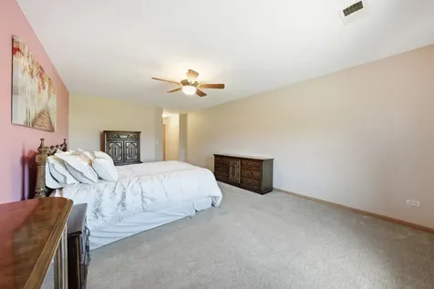 20345 South Rainford Drive Frankfort IL 60423