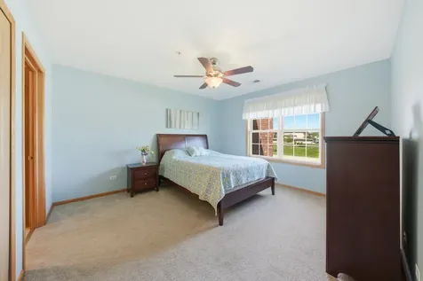 20345 South Rainford Drive Frankfort IL 60423
