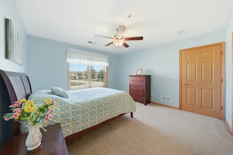 20345 South Rainford Drive Frankfort IL 60423