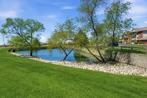 20345 South Rainford Drive Frankfort IL 60423