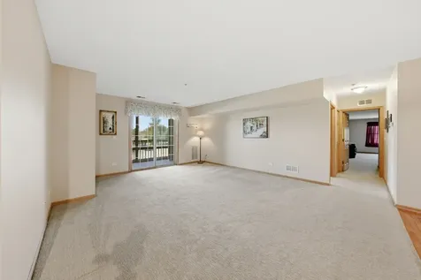 20345 South Rainford Drive Frankfort IL 60423