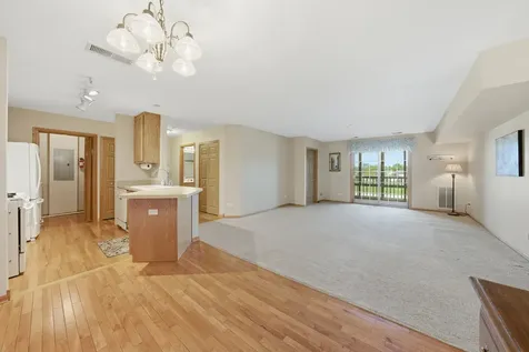 20345 South Rainford Drive Frankfort IL 60423