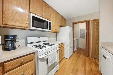 20345 South Rainford Drive Frankfort IL 60423
