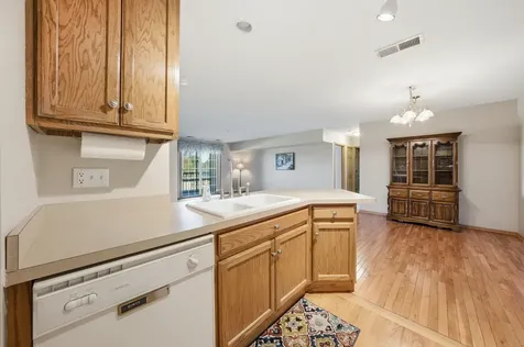 20345 South Rainford Drive Frankfort IL 60423
