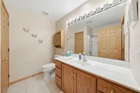 20345 South Rainford Drive Frankfort IL 60423