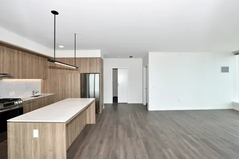 1000 South Michigan Avenue Chicago IL 60605