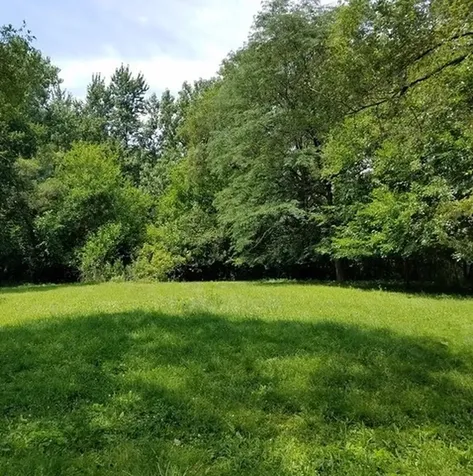 Chatham Avenue Addison IL 60101