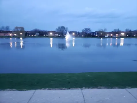 9366 Bay Colony Drive Des Plaines IL 60016