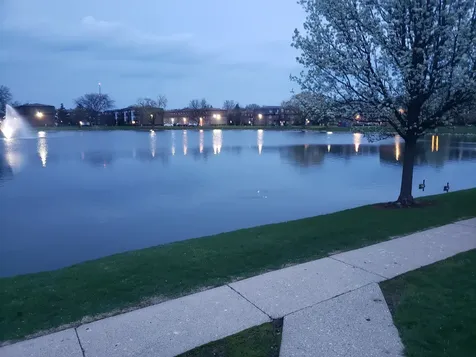 9366 Bay Colony Drive Des Plaines IL 60016