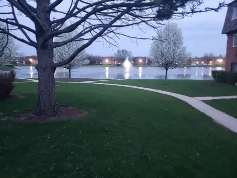 9366 Bay Colony Drive Des Plaines IL 60016