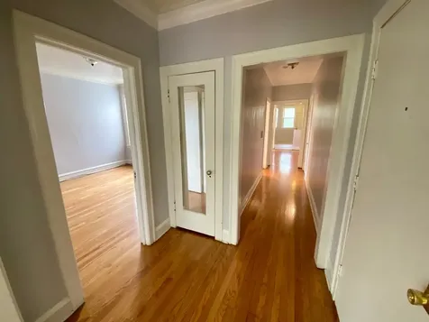 7931 South Manistee Avenue Chicago IL 60617
