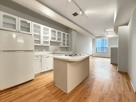 910 South Michigan Avenue Chicago IL 60605