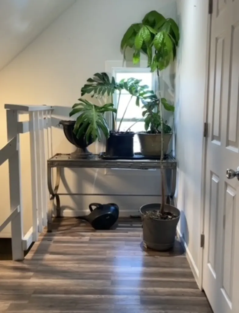 1248 West 49th Place Chicago IL 60609