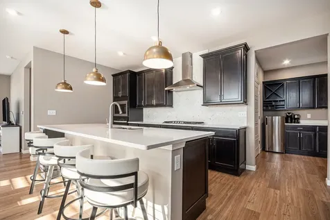 3207 Dove Mountain Drive Aurora IL 60503