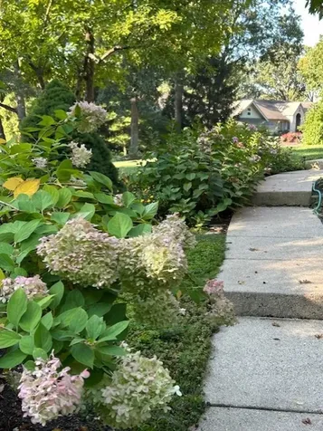 29W306 Oak Lane West Chicago IL 60185