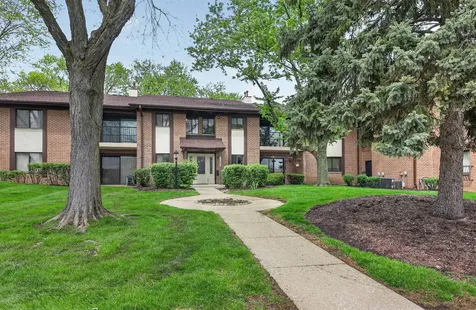 8212 Anchor Drive Woodridge IL 60517