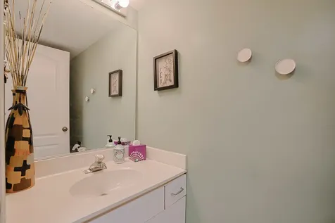 3 Chestnut Terrace Buffalo Grove IL 60089