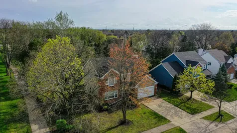 3 Chestnut Terrace Buffalo Grove IL 60089