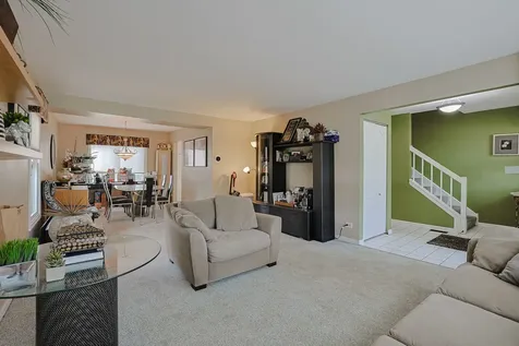 3 Chestnut Terrace Buffalo Grove IL 60089