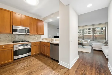 600 North Lake Shore Drive Chicago IL 60611