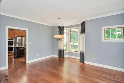 20687 Settlers Lane Frankfort IL 60423