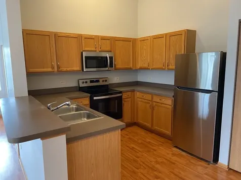 1517 Silverstone Drive Carpentersville IL 60110