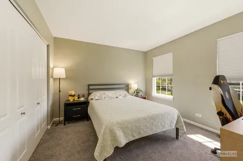 4355 Schofield Drive Oswego IL 60543