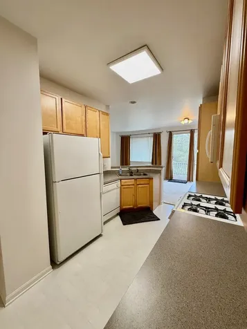 4354 Shooting Star Drive Island Lake IL 60042